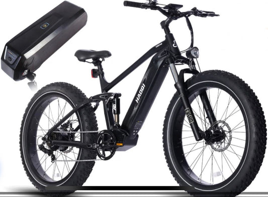 HAOQI Cheetah Full Suspension Electric Bike - Dual Battery