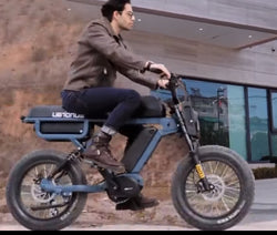 Zoo Keeper Bike